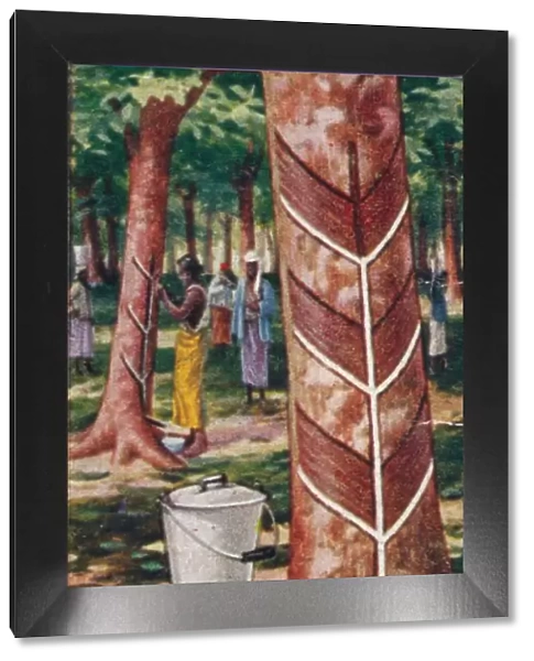 Rubber, 1. Tapping the Trees, Ceylon, 1928