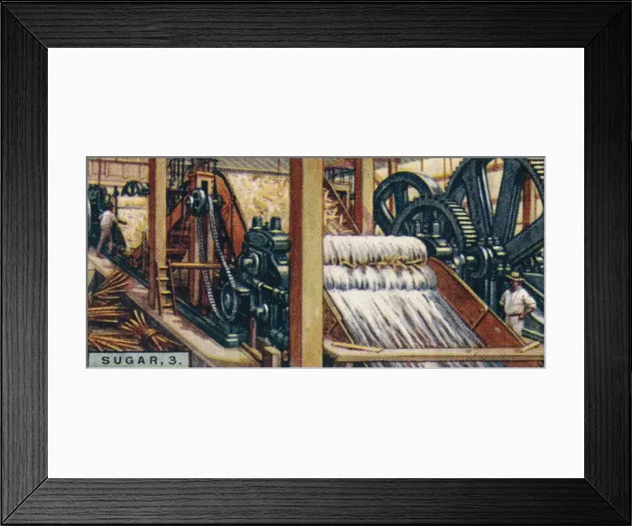 Framed Print : Sugar, 3. Crushing the Canes, Java, 1928 Framed Print : Sugar, 3. Crushing the Canes, Java, 1928