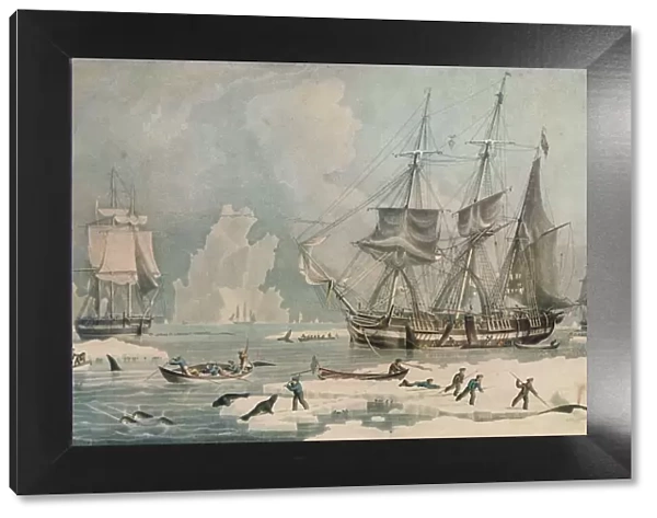 Northern Whale Fishery, c1829. Artist: Edward Duncan