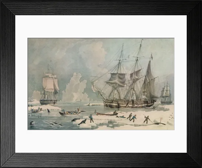 Framed Print : Northern Whale Fishery, c1829. Artist: Edward Duncan Framed Print : Northern Whale Fishery, c1829. Artist: Edward Duncan