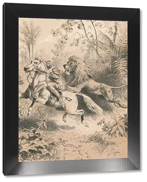 African Traveller Attacked by A Lion, c1880