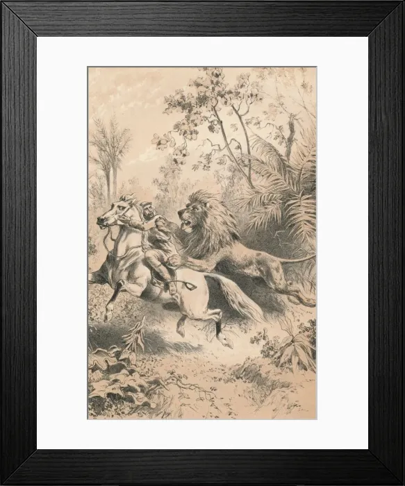 Framed Print : African Traveller Attacked by A Lion, c1880 Framed Print : African Traveller Attacked by A Lion, c1880