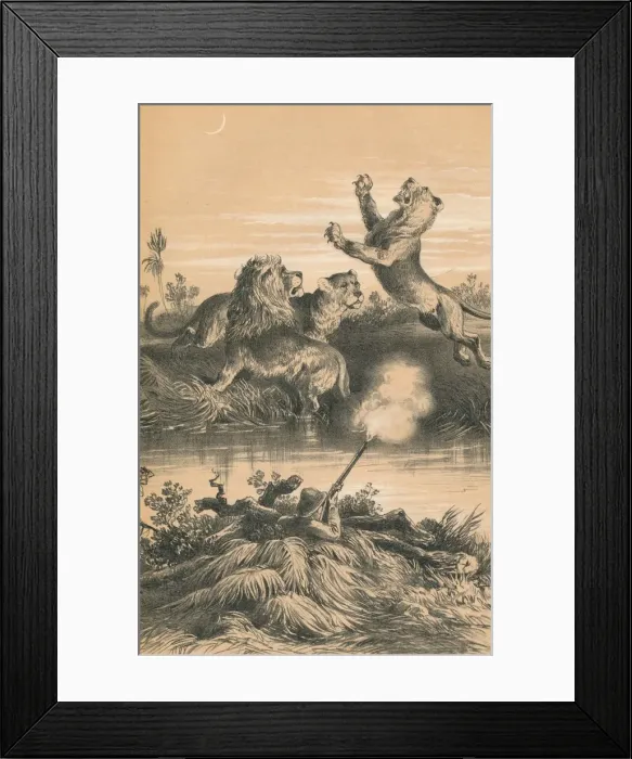 Framed Print : Lion Hunting At Night, c1880 Framed Print : Lion Hunting At Night, c1880