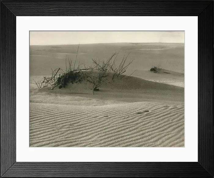 Framed Print : Kurische Nehrung - Shifting dune, 1931. Artist: Kurt Hielscher Framed Print : Kurische Nehrung - Shifting dune, 1931. Artist: Kurt Hielscher