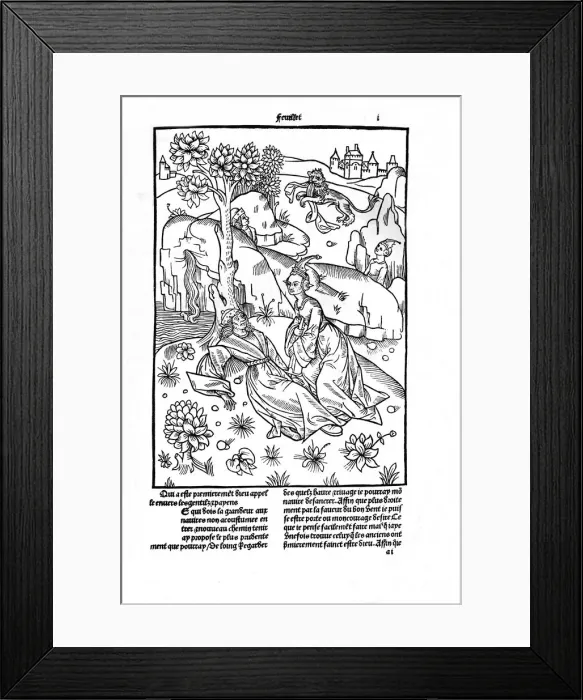 Framed Print : De la genealogie des dieux, 1498-1499 (1947). Artist: Giovanni di Boccace Framed Print : De la genealogie des dieux, 1498-1499 (1947). Artist: Giovanni di Boccace