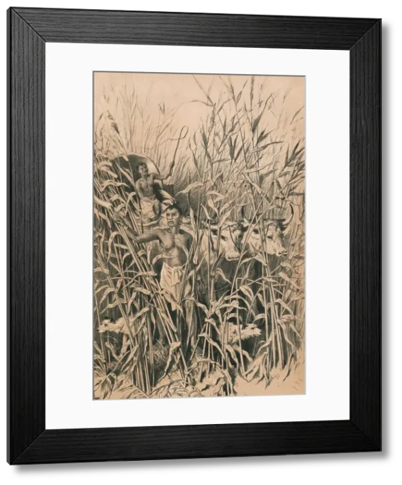 Framed Print : A Troublesome Road, c1880