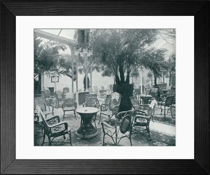 Framed Print : Brighton Metropoles Palm Garden, 1912 Framed Print : Brighton Metropoles Palm Garden, 1912