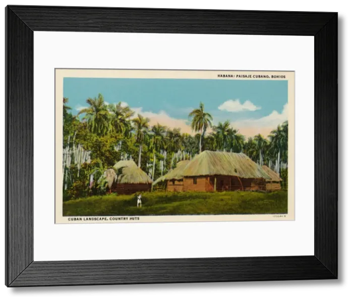 Framed Print : Habana: Paisaje Cubano, Bohios. Cuban Landscape, Country Huts, c1910 Framed Print : Habana: Paisaje Cubano, Bohios. Cuban Landscape, Country Huts, c1910