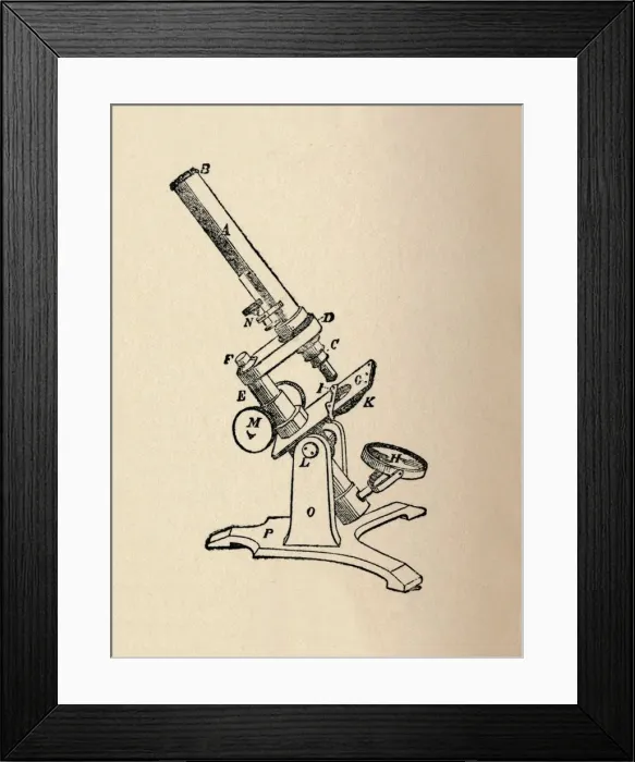 Framed Print : Microscope, 1912 Framed Print : Microscope, 1912
