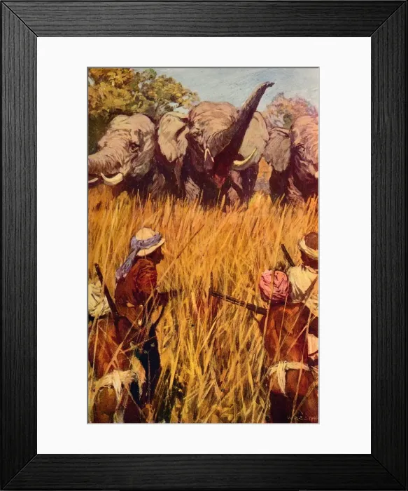 Framed Print : Elephants in Chase, c1850 (c1912) Framed Print : Elephants in Chase, c1850 (c1912)