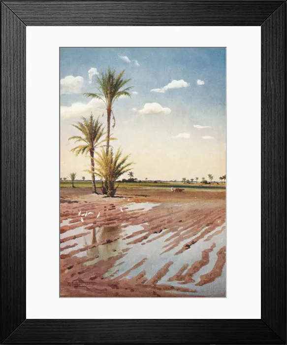 Framed Print : An Irrigated Field, c1880, (1904). Artist: Robert George Talbot Kelly