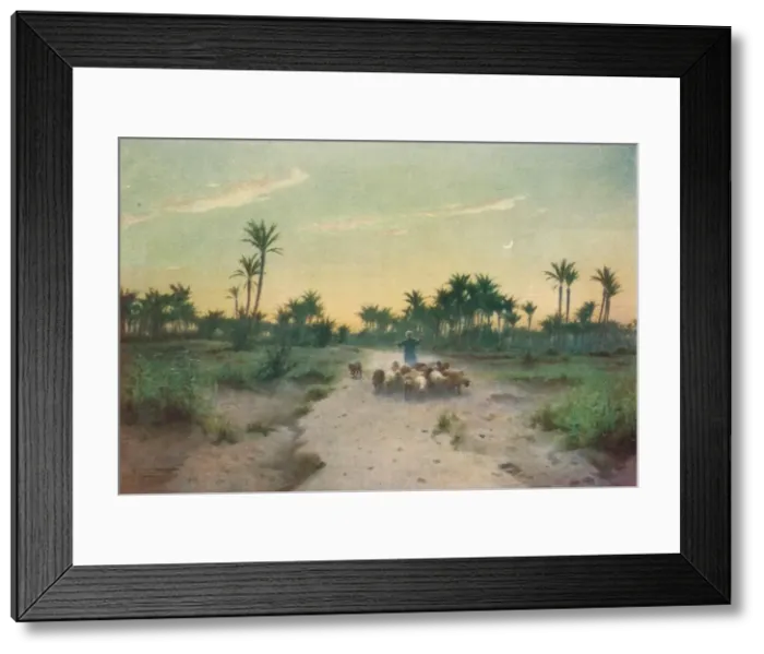 Framed Print : In the Land of Goshen - Evening, c1880, (1904). Artist: Robert George Talbot Kelly Framed Print : In the Land of Goshen - Evening, c1880, (1904). Artist: Robert George Talbot Kelly