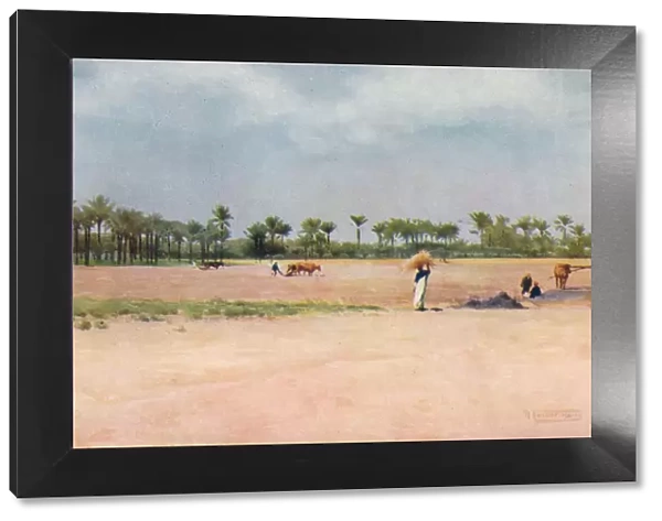 Esbet-El-Ekiad - Land of Goshen, c1880, (1904). Artist: Robert George Talbot Kelly