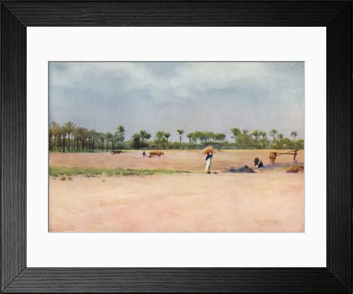 Framed Print : Esbet-El-Ekiad - Land of Goshen, c1880, (1904). Artist: Robert George Talbot Kelly Framed Print : Esbet-El-Ekiad - Land of Goshen, c1880, (1904). Artist: Robert George Talbot Kelly