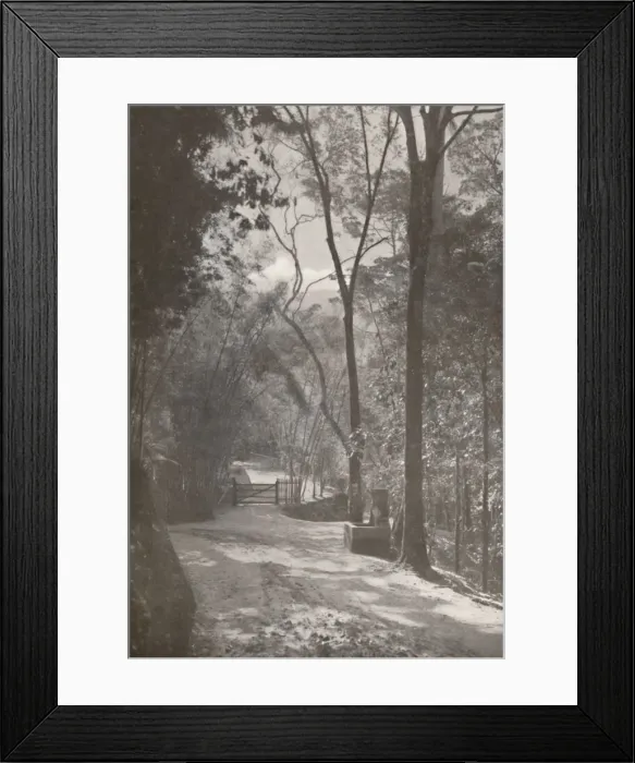 Framed Print : The Spirit of Tijuca, 1914 Framed Print : The Spirit of Tijuca, 1914