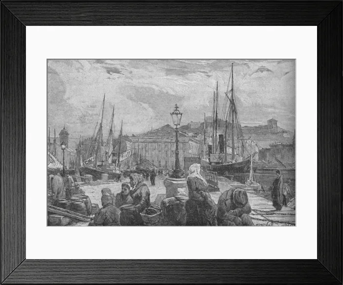 Framed Print : Trieste Harbour, 1902 Framed Print : Trieste Harbour, 1902
