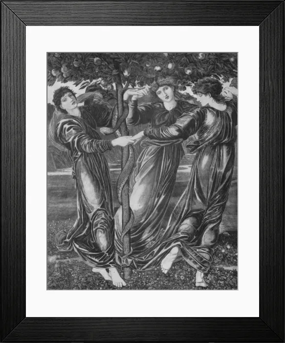 Framed Print : The Garden of the Hesperides, c1870, (1917). Artist: Edward Burnes-Jones Framed Print : The Garden of the Hesperides, c1870, (1917). Artist: Edward Burnes-Jones