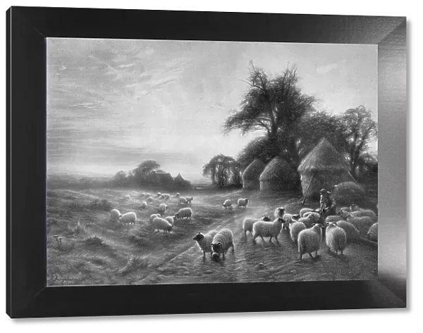Sheep Feeding, c1890, (1911). Artist: Joseph Farquharson