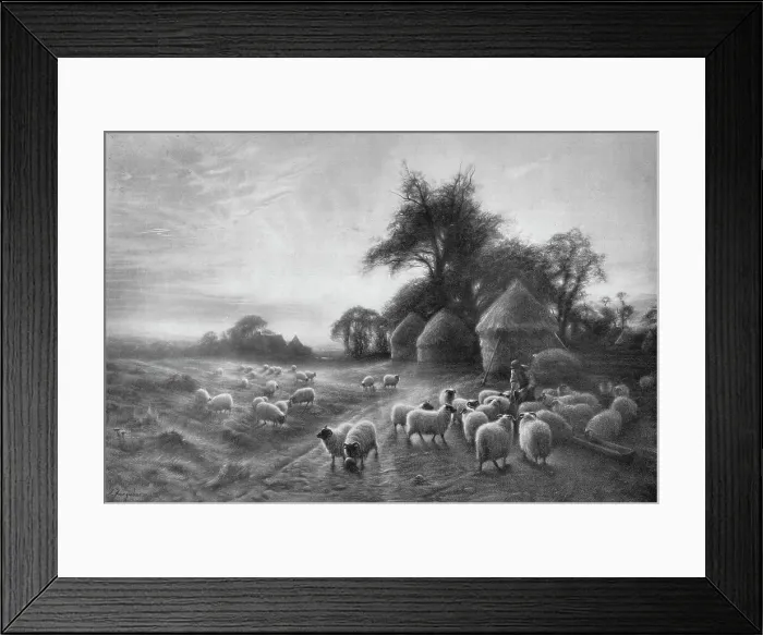 Framed Print : Sheep Feeding, c1890, (1911). Artist: Joseph Farquharson Framed Print : Sheep Feeding, c1890, (1911). Artist: Joseph Farquharson