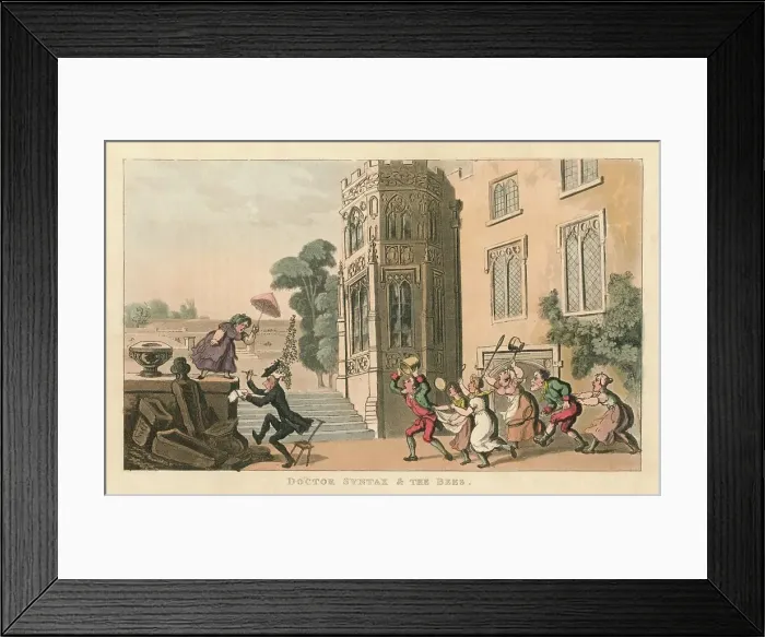 Framed Print : Doctor Syntax & The Bees, 1820. Artist: Thomas Rowlandson Framed Print : Doctor Syntax & The Bees, 1820. Artist: Thomas Rowlandson