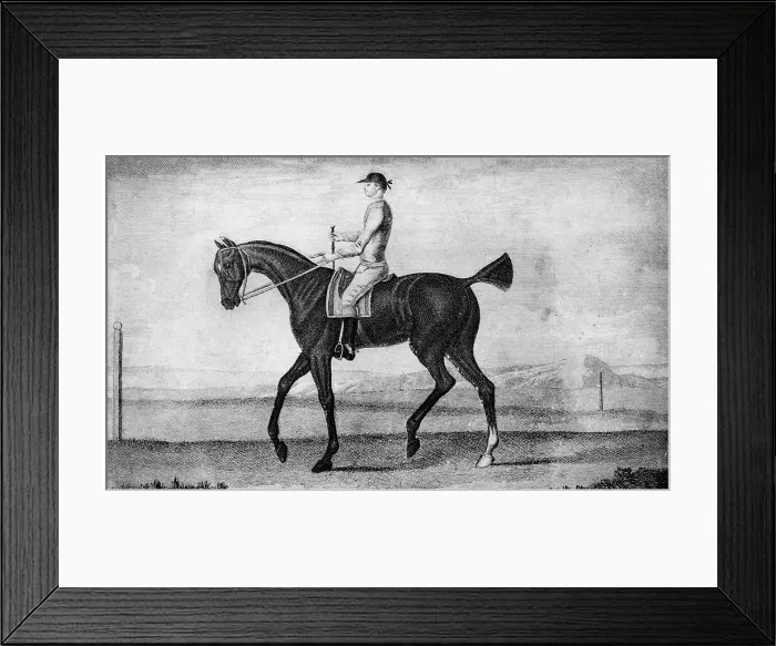 Framed Print : Little Driver, c1850-1900, (1911) Framed Print : Little Driver, c1850-1900, (1911)
