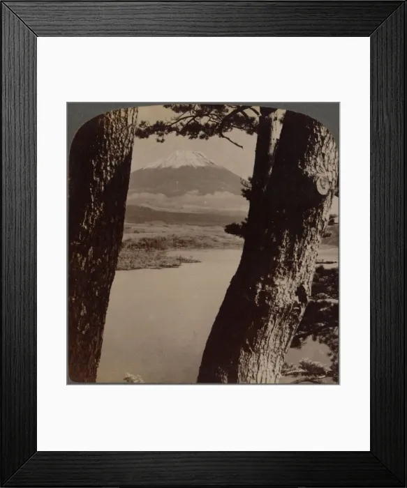 Framed Print : Glorious Fuji, beloved by artists and poets, seen through pines at Lake Motosu, Japan, 1904 Framed Print : Glorious Fuji, beloved by artists and poets, seen through pines at Lake Motosu, Japan, 1904