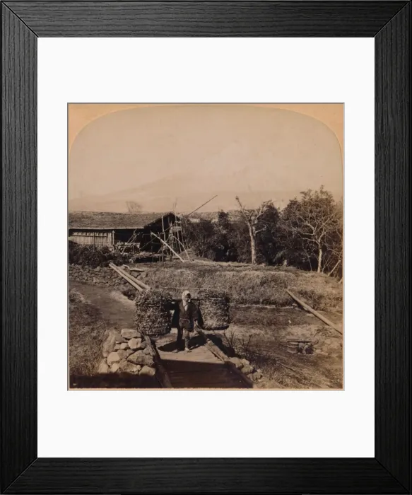 Framed Print : The Sacred Fujiyama, Highest Mountain in Japan, 1896 Framed Print : The Sacred Fujiyama, Highest Mountain in Japan, 1896