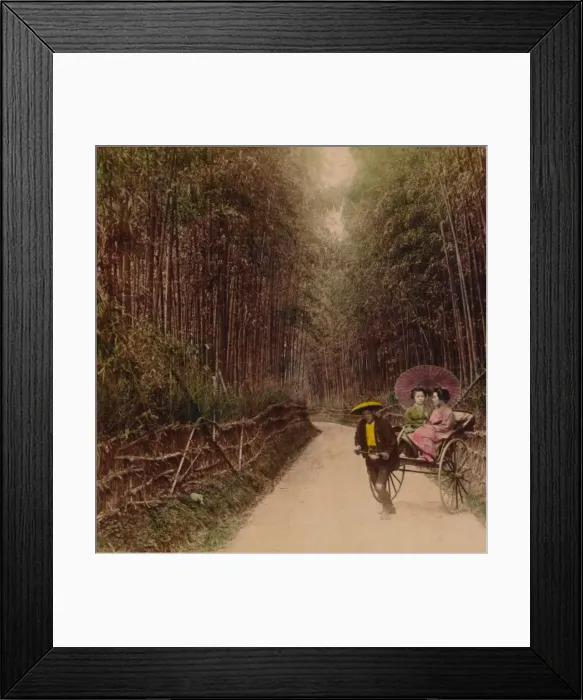 Framed Print : Bamboo Avenue, Kyoto, Japan, 1896 Framed Print : Bamboo Avenue, Kyoto, Japan, 1896