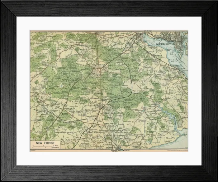 Framed Print : New Forest, c20th Century. Artist: John Bartholomew Framed Print : New Forest, c20th Century. Artist: John Bartholomew