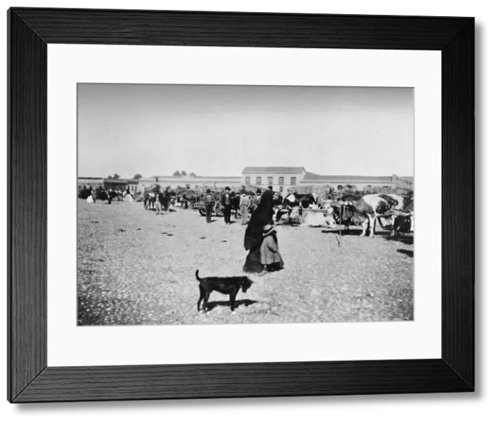 Framed Print : Market Day at Chillan, 1911 Framed Print : Market Day at Chillan, 1911