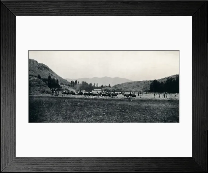 Framed Print : Threshing Corn in the Ancient Manner, 1911 Framed Print : Threshing Corn in the Ancient Manner, 1911