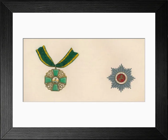 Framed Print : The Order of the Lion of Baden (Golden Lion of Daringen), c19th century Framed Print : The Order of the Lion of Baden (Golden Lion of Daringen), c19th century
