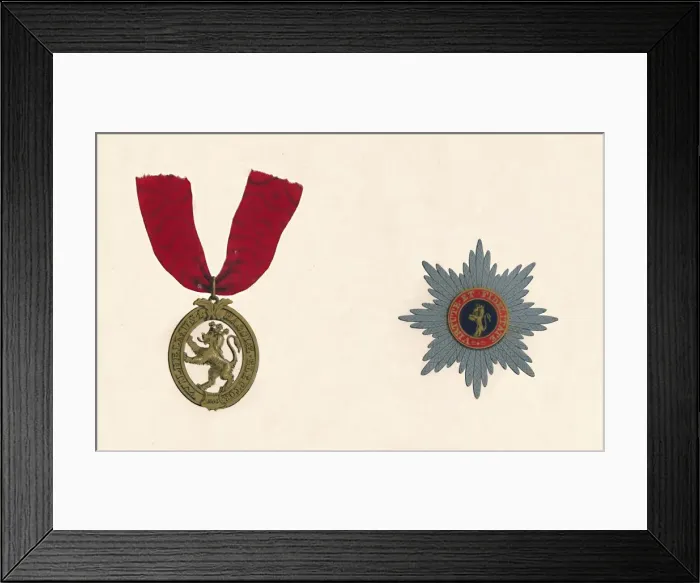 Framed Print : The Order of the Lion D Or, c19th century Framed Print : The Order of the Lion D Or, c19th century