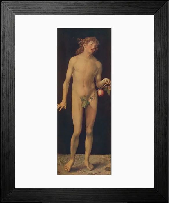 Framed Print : Adan, (Adam), 1507, (c1934). Artist: Albrecht Durer Framed Print : Adan, (Adam), 1507, (c1934). Artist: Albrecht Durer