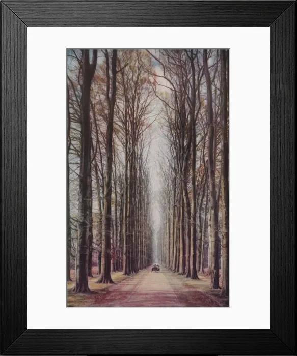 Framed Print : Holland, c1930s. Artist: ENA Framed Print : Holland, c1930s. Artist: ENA