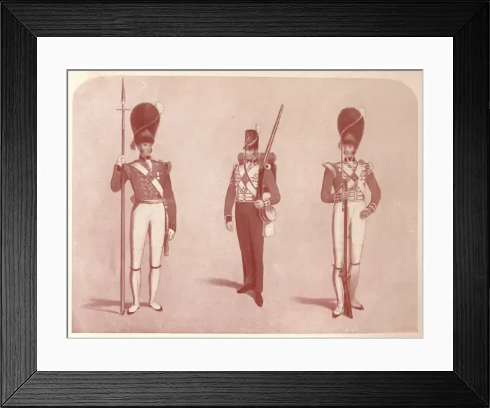 Framed Print : 1st or Grenadier Regiment of Guards in 1815, 1909 Framed Print : 1st or Grenadier Regiment of Guards in 1815, 1909