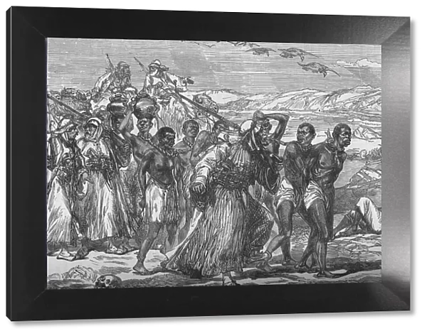 Slave Gang Crossing The African Desert, c1881-85