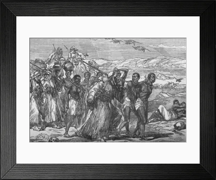 Framed Print : Slave Gang Crossing The African Desert, c1881-85 Framed Print : Slave Gang Crossing The African Desert, c1881-85