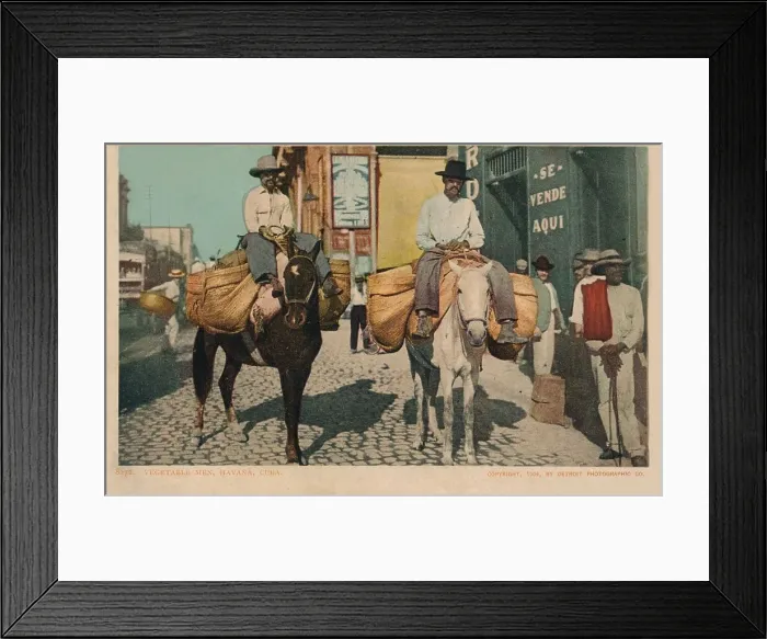 Framed Print : Vegetable Men, Havana, Cuba, 1904 Framed Print : Vegetable Men, Havana, Cuba, 1904