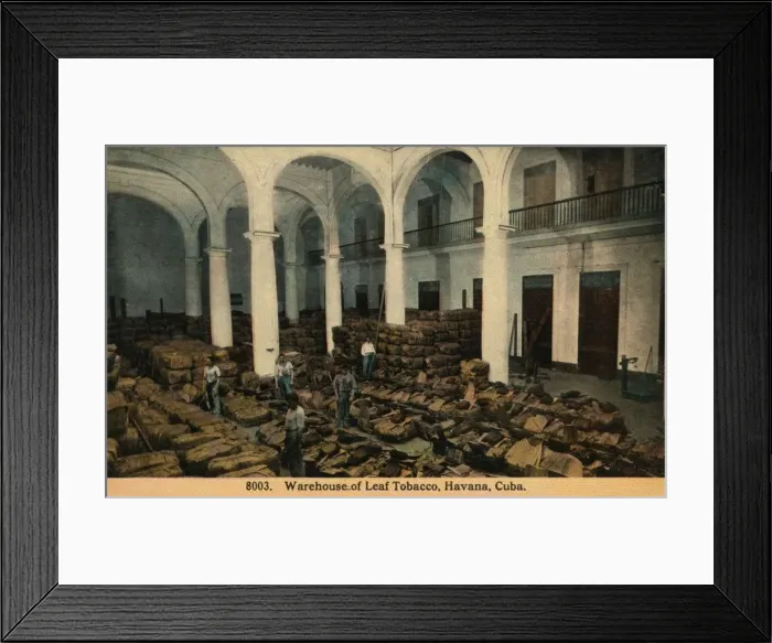 Framed Print : Warehouse of Leaf Tobacco, Havana, Cuba, c1910 Framed Print : Warehouse of Leaf Tobacco, Havana, Cuba, c1910