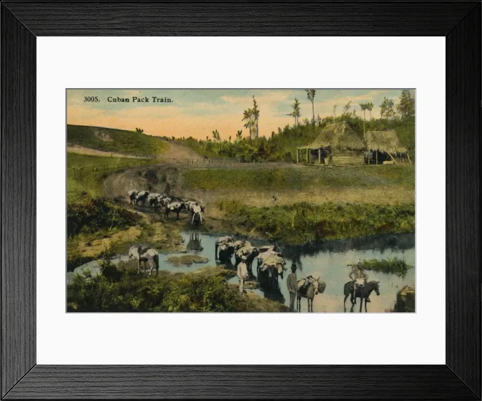 Framed Print : Cuban Pack Train, c1910 Framed Print : Cuban Pack Train, c1910