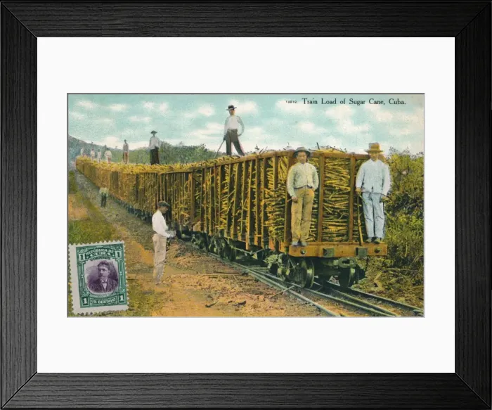 Framed Print : Train Load of Sugar Cane, Cuba, 1911 Framed Print : Train Load of Sugar Cane, Cuba, 1911