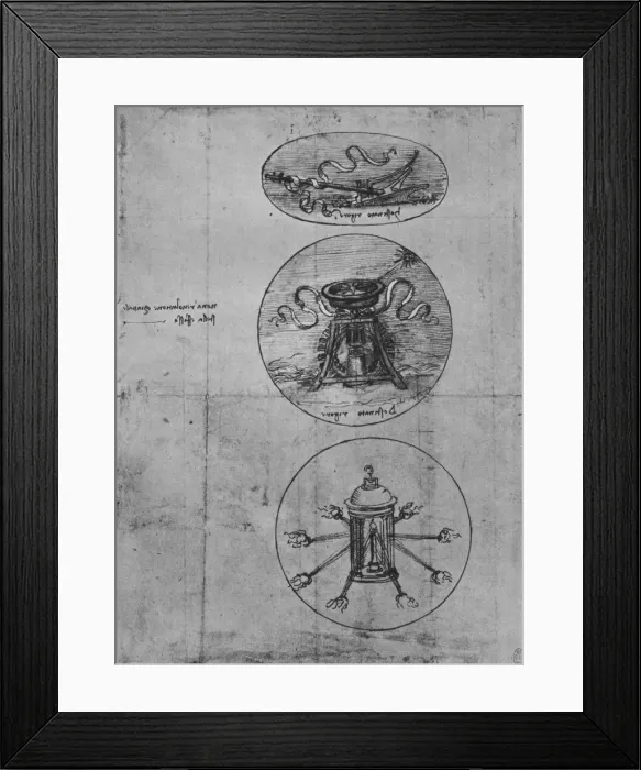 Framed Print : Three Emblems, c1480 (1945). Artist: Leonardo da Vinci Framed Print : Three Emblems, c1480 (1945). Artist: Leonardo da Vinci