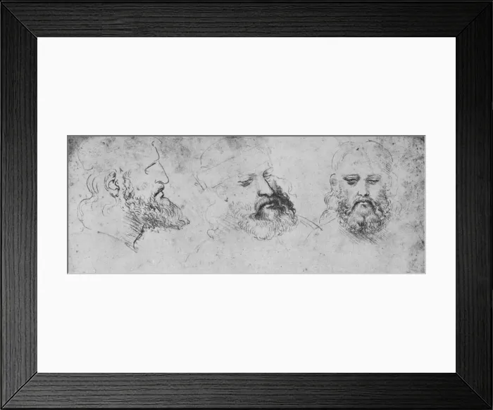 Framed Print : Studies of the Head of Cesare Borgia from Three Points of View, c1480 (1945). Artist: Leonardo da Vinci Framed Print : Studies of the Head of Cesare Borgia from Three Points of View, c1480 (1945). Artist: Leonardo da Vinci