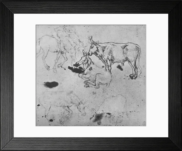 Framed Print : Studies of Asses and of an Ox, c1480 (1945). Artist: Leonardo da Vinci Framed Print : Studies of Asses and of an Ox, c1480 (1945). Artist: Leonardo da Vinci