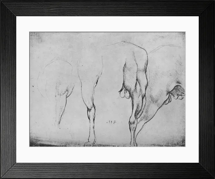 Framed Print : Studies of Horses Legs, c1480 (1945). Artist: Leonardo da Vinci Framed Print : Studies of Horses Legs, c1480 (1945). Artist: Leonardo da Vinci