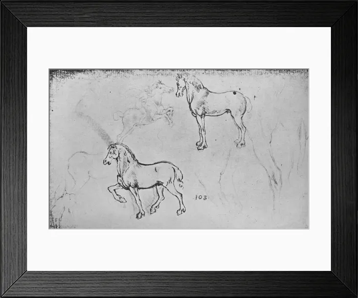 Framed Print : Two Studies of Horses, One of a Galloping Horseman and Others of Horses Legs, c1480 (1945). Artist: Leonardo da Vinci Framed Print : Two Studies of Horses, One of a Galloping Horseman and Others of Horses Legs, c1480 (1945). Artist: Leonardo da Vinci