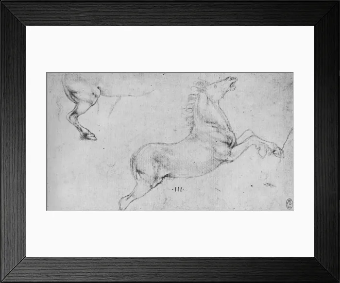 Framed Print : Studies of a Rearing Horse and a Horses Hind-Quarters, c1480 (1945). Artist: Leonardo da Vinci Framed Print : Studies of a Rearing Horse and a Horses Hind-Quarters, c1480 (1945). Artist: Leonardo da Vinci