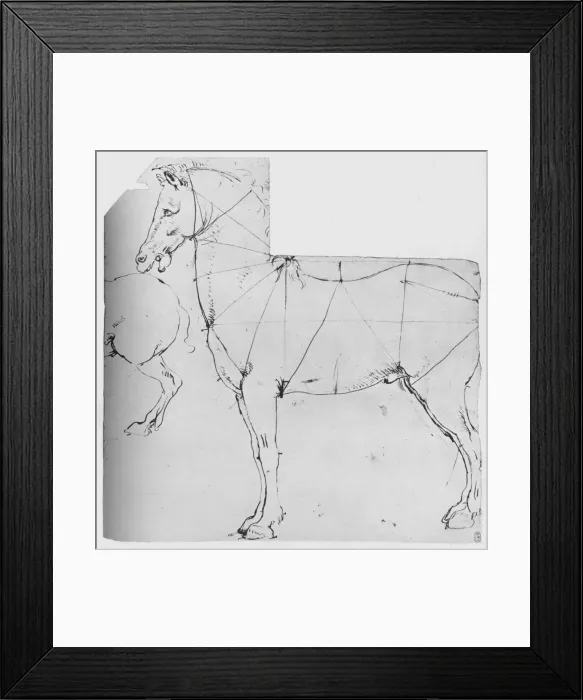 Framed Print : Study of a Horse Marked Out for Measurement, c1480 (1945). Artist: Leonardo da Vinci Framed Print : Study of a Horse Marked Out for Measurement, c1480 (1945). Artist: Leonardo da Vinci