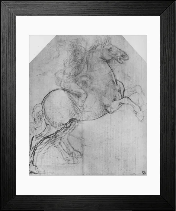 Framed Print : A Rider on a Rearing Horse, c1480 (1945). Artist: Leonardo da Vinci Framed Print : A Rider on a Rearing Horse, c1480 (1945). Artist: Leonardo da Vinci